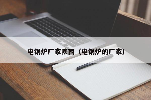 電鍋爐廠家陜西（電鍋爐的廠家）