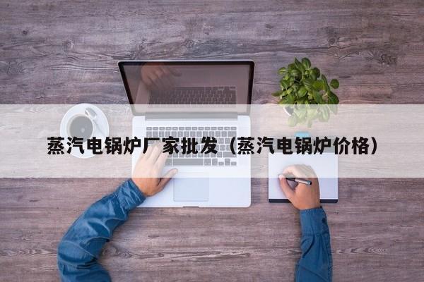 蒸汽電鍋爐廠家批發(fā)（蒸汽電鍋爐價格）