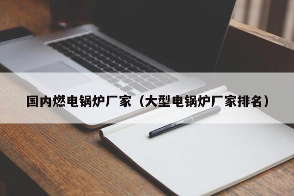 國內(nèi)燃電鍋爐廠家（大型電鍋爐廠家排名）