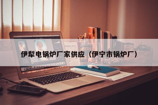 伊犁電鍋爐廠家供應(yīng)（伊寧市鍋爐廠）